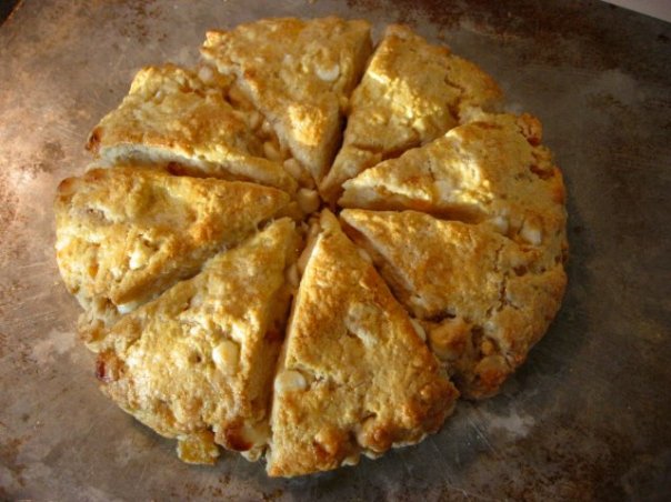 scones-apricot-white-chocolate